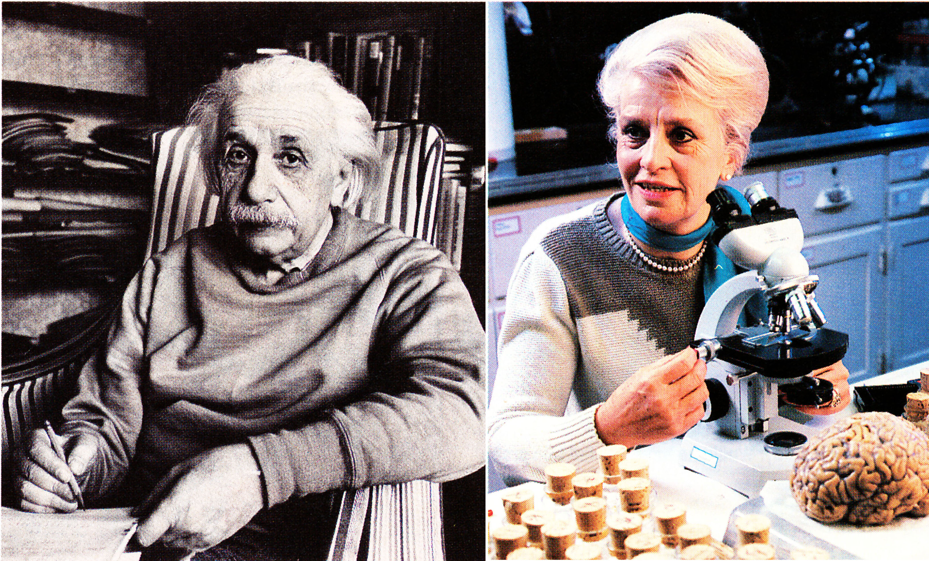 Marian Diamond y su investigación sobre el cerebro de Einstein