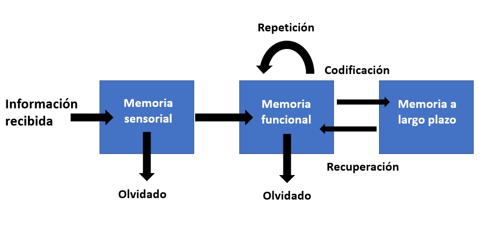 Mecanismo memoria